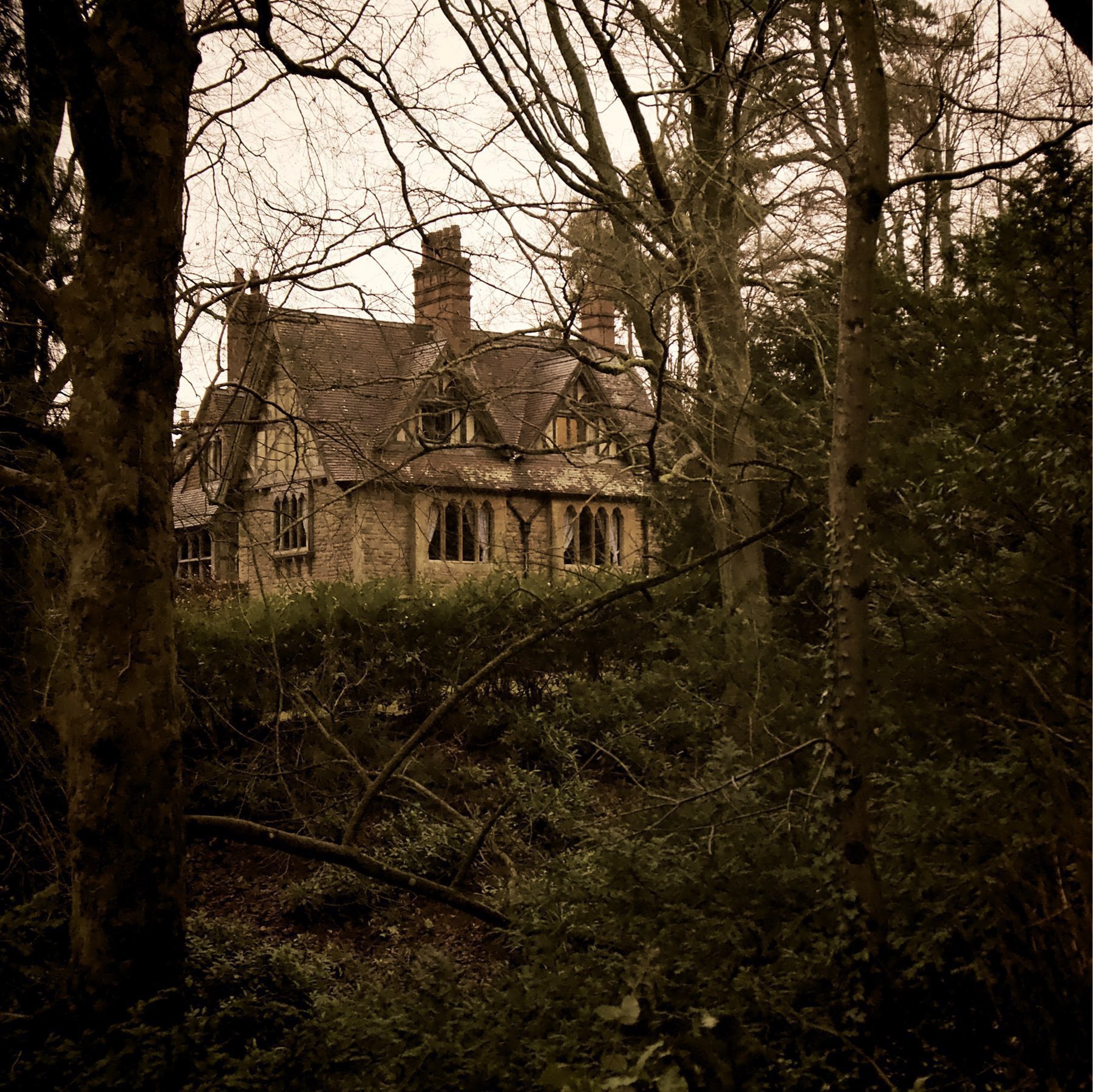 A house in the woods on the Tyntsfield estate