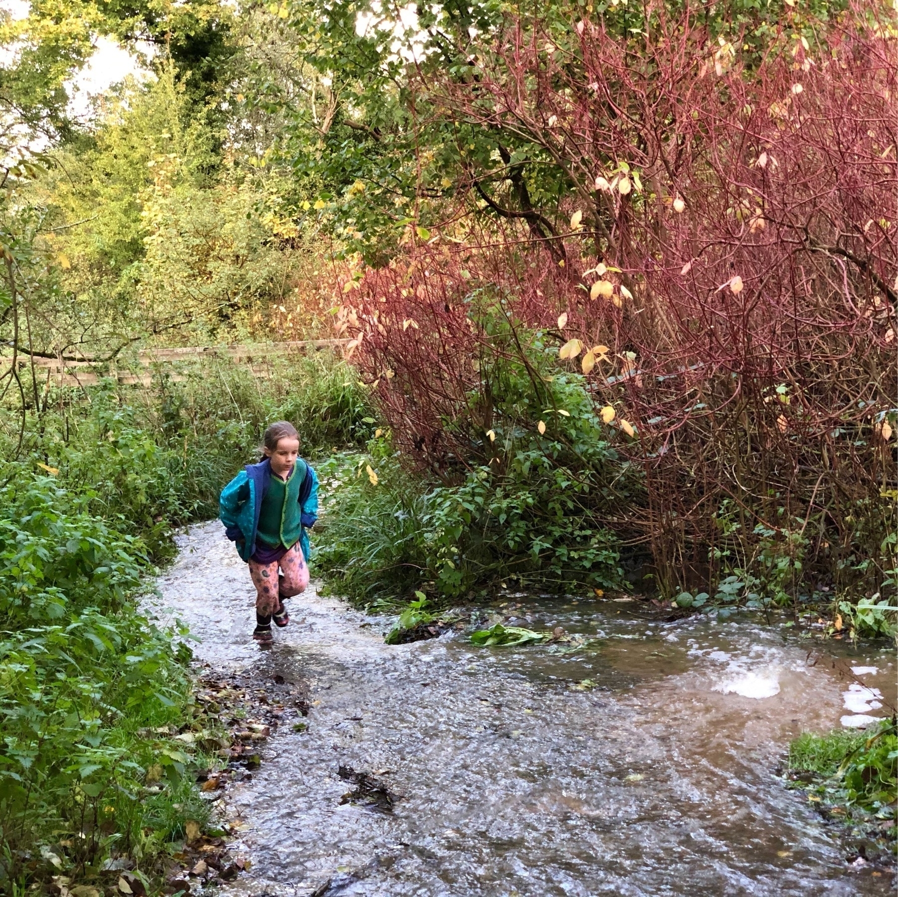 A girl running through a flooded path at Woods Mill. 