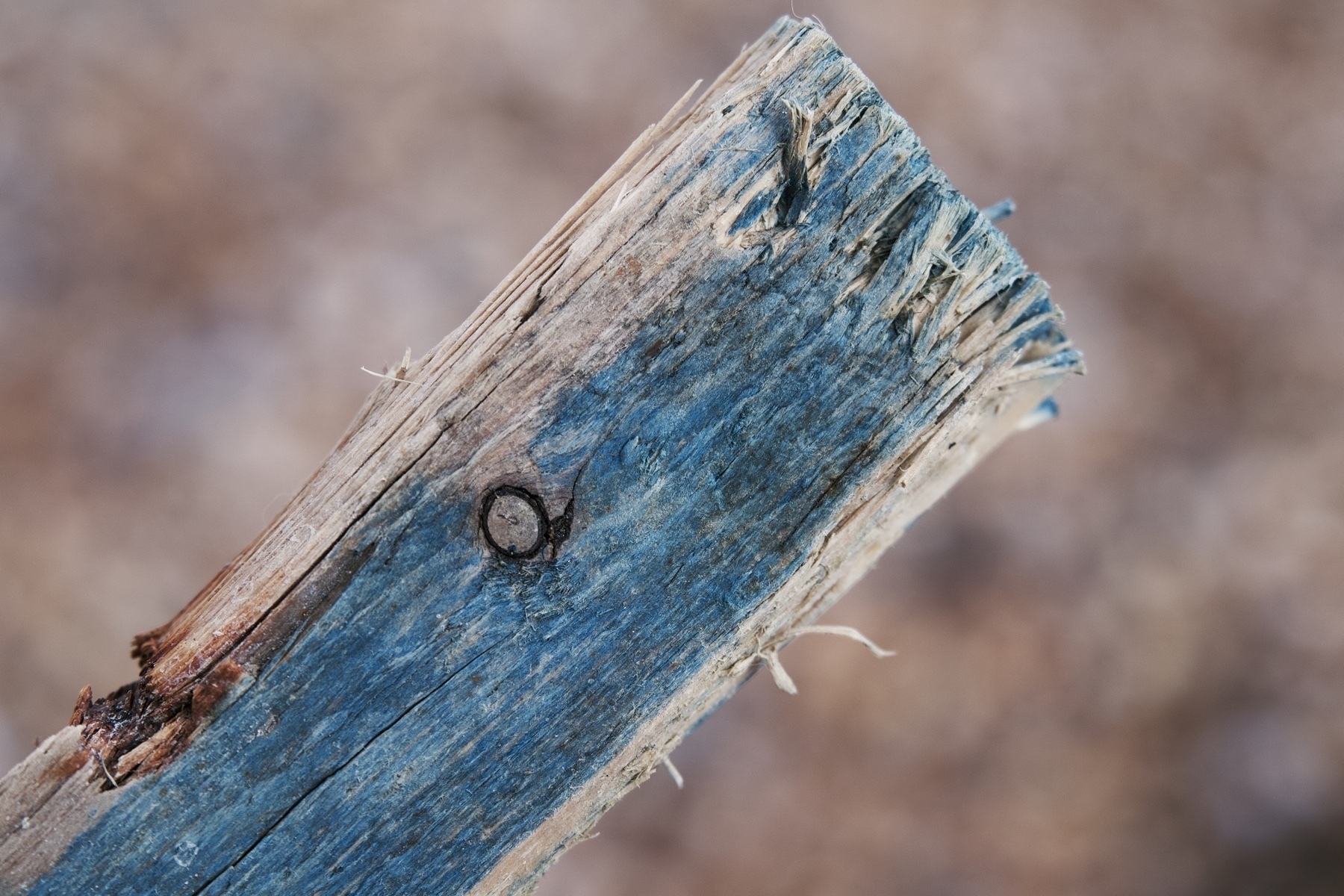 Driftwood found on Shoreham Beach