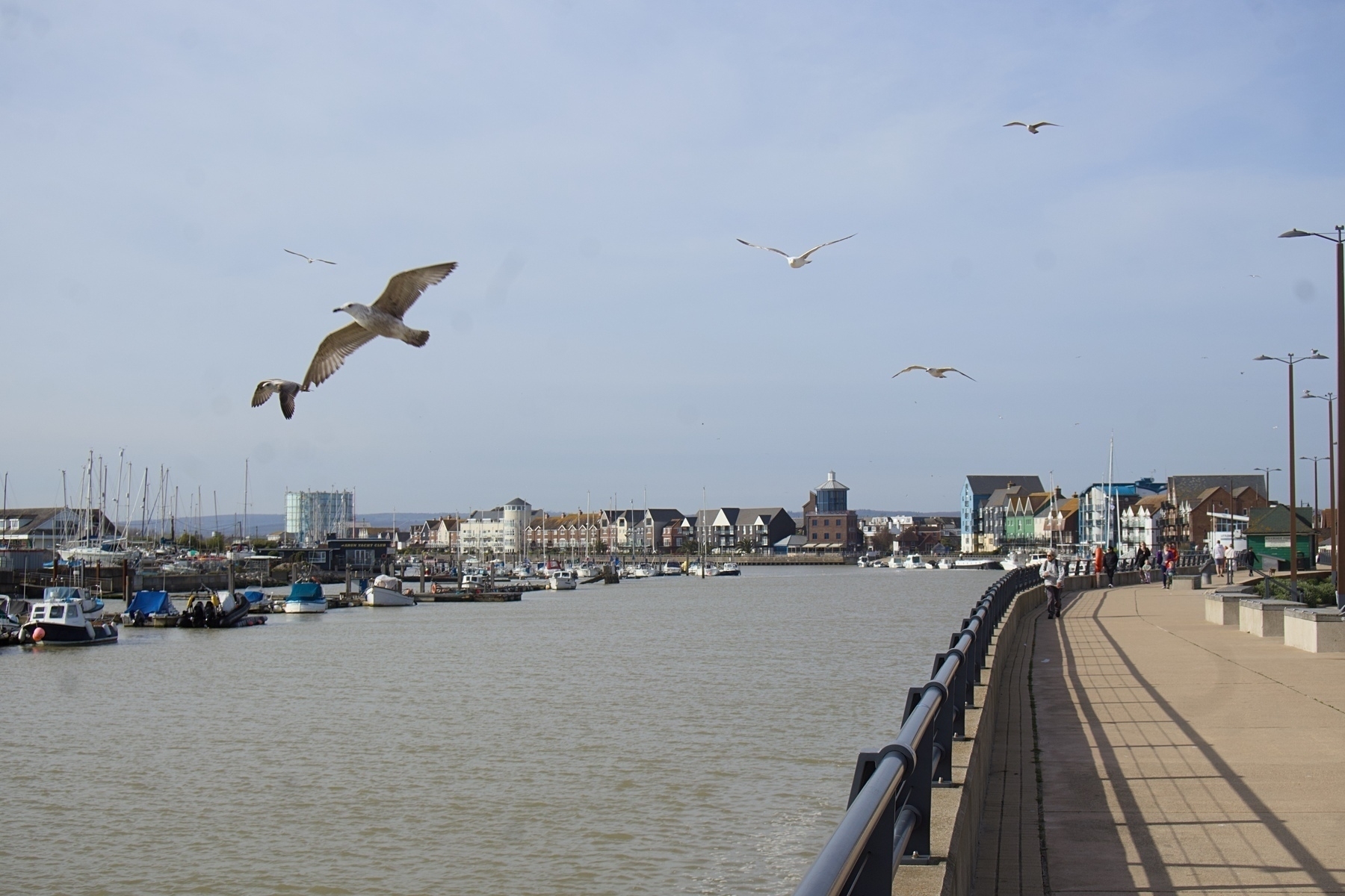 A view of Littlehampton harbour with gulls flying above. 