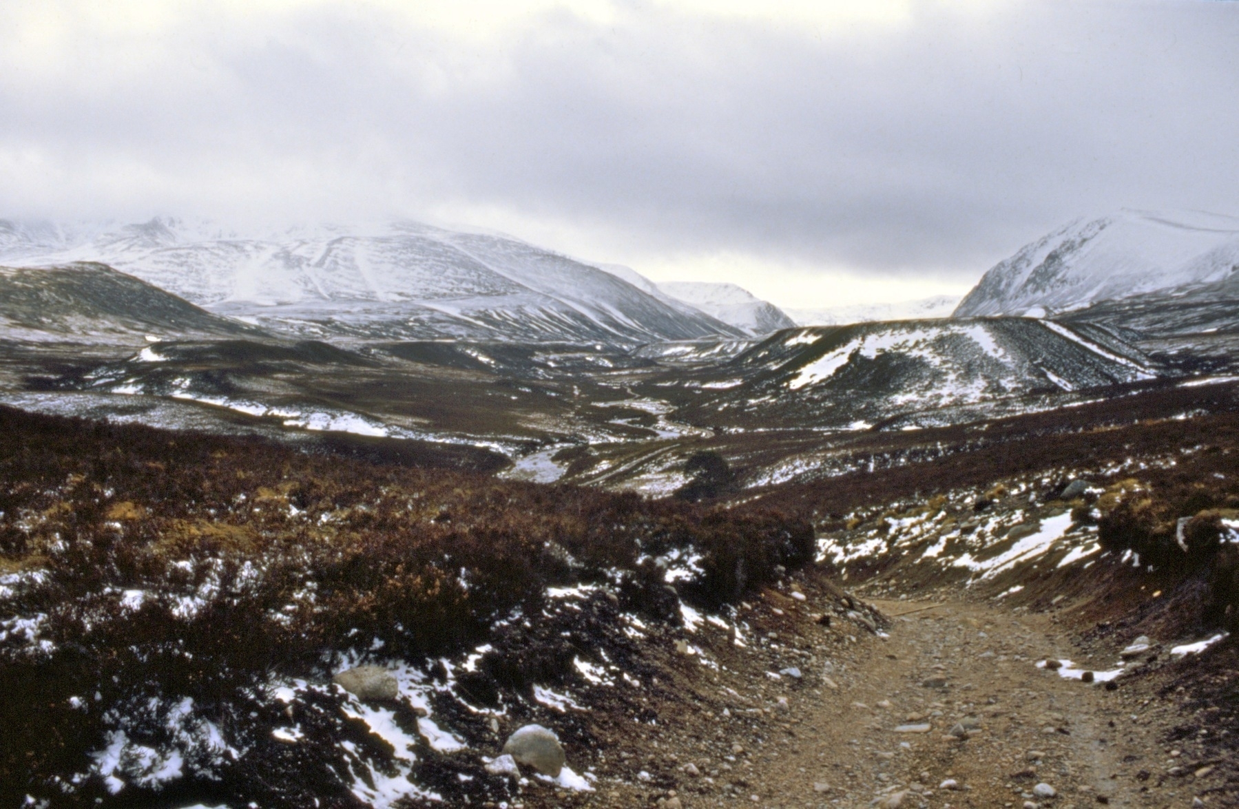 A dirt trail meanders through a snowy mountain landscape with scattered vegetation under an overcast sky.