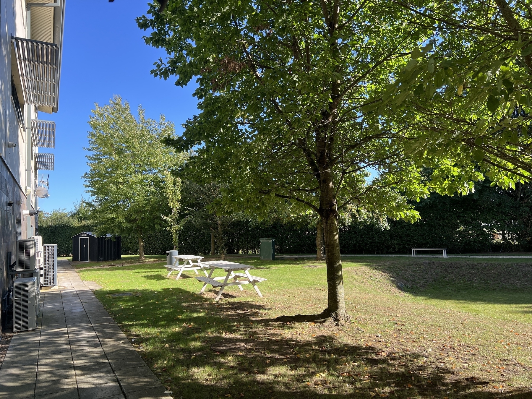 A sunny outdoor area features picnic tables, a tree providing shade, and a grassy lawn next to a building.