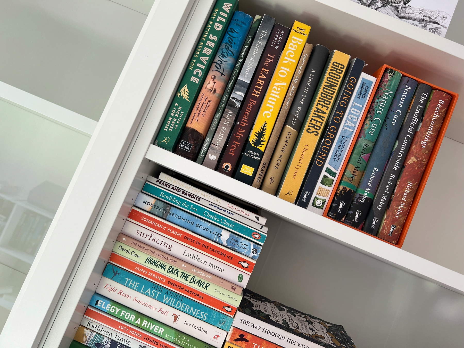 A bookshelf containing a variety of books, including titles about nature, wildlife, and environmental subjects.