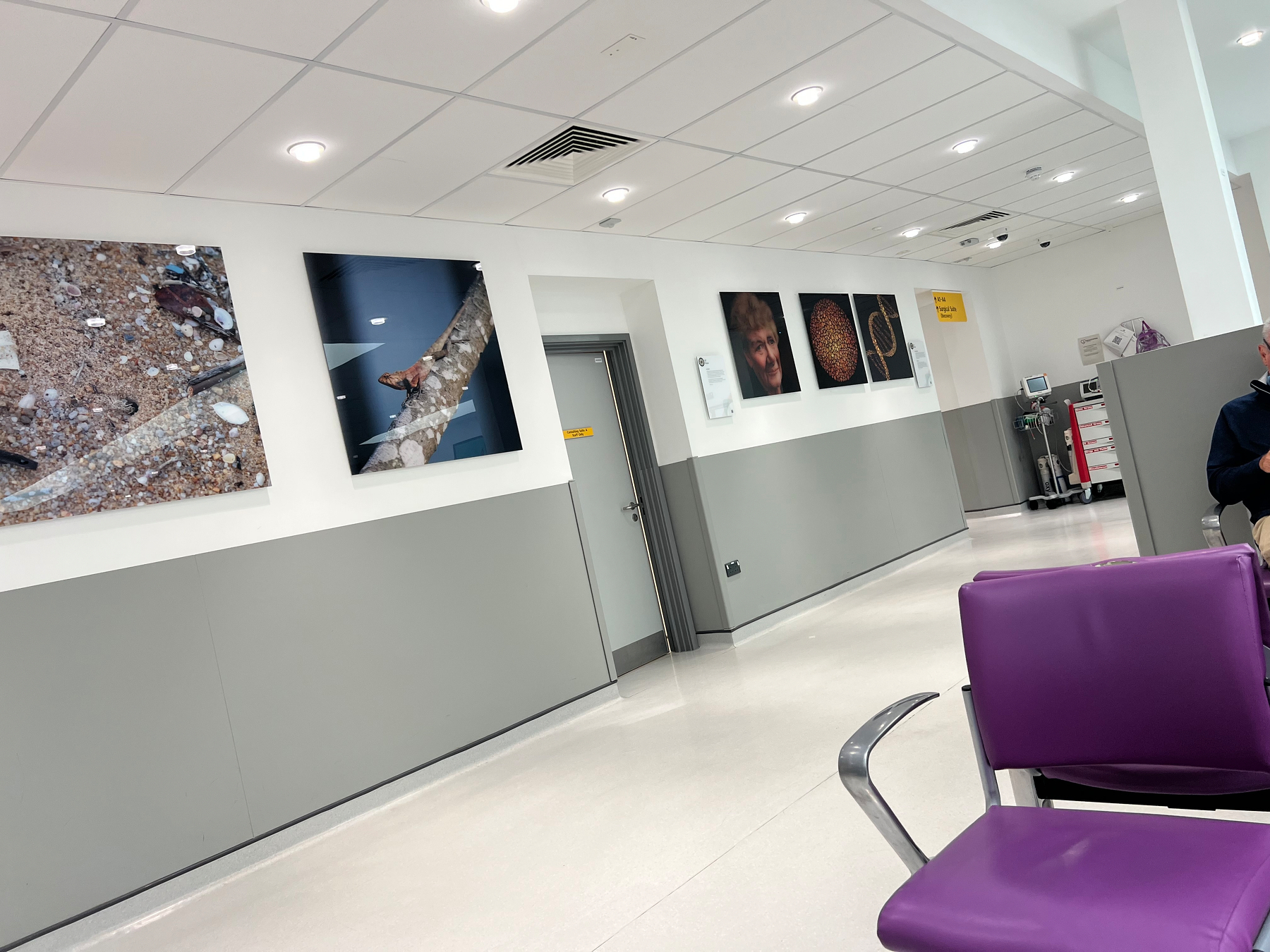 A hospital hallway with grey and white walls features several framed photographs and purple chairs along the side.
